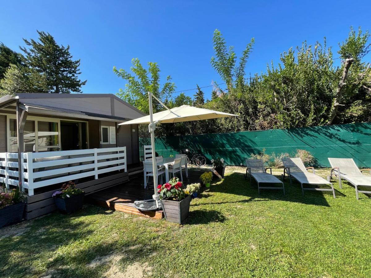 Avignon, Joli Chalet En Campagne Tres Proche De La Ville Exteriér fotografie